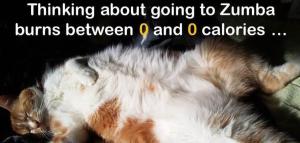 408641_10151139255800736_62245119_n